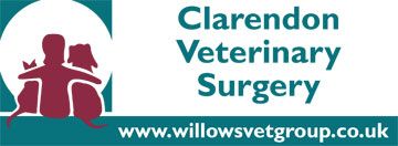 Clarendon Veterinary Surgery